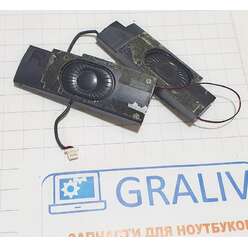Динамики ноутбука Asus 1008P